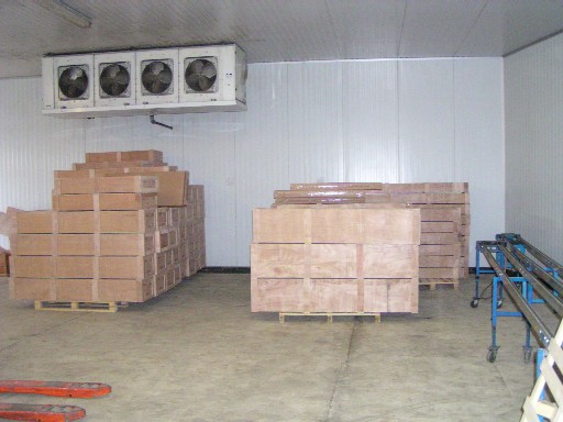 Photo_1