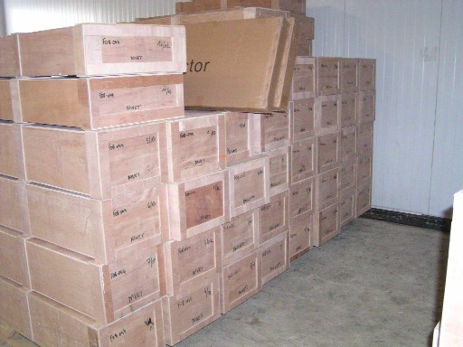 Photo_2