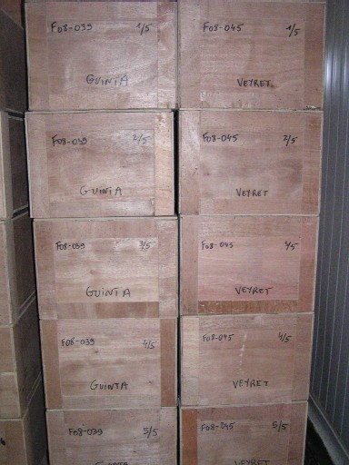 Photo_3