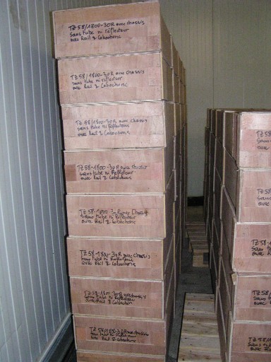 Photo_7
