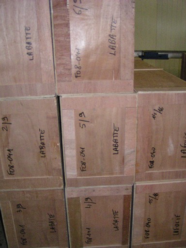 Photo_8
