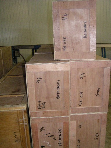 Photo_9